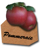 Pomme